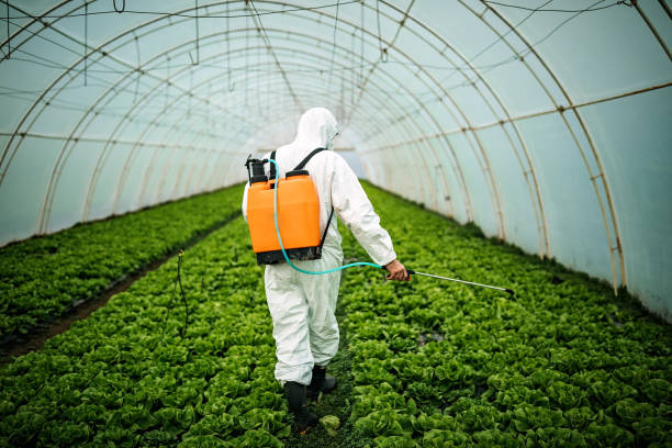 Best Bed Bug Extermination  in Xtang, PA