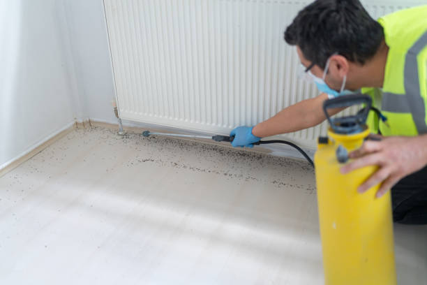 Best Best Pest Control Companies  in Xtang, PA